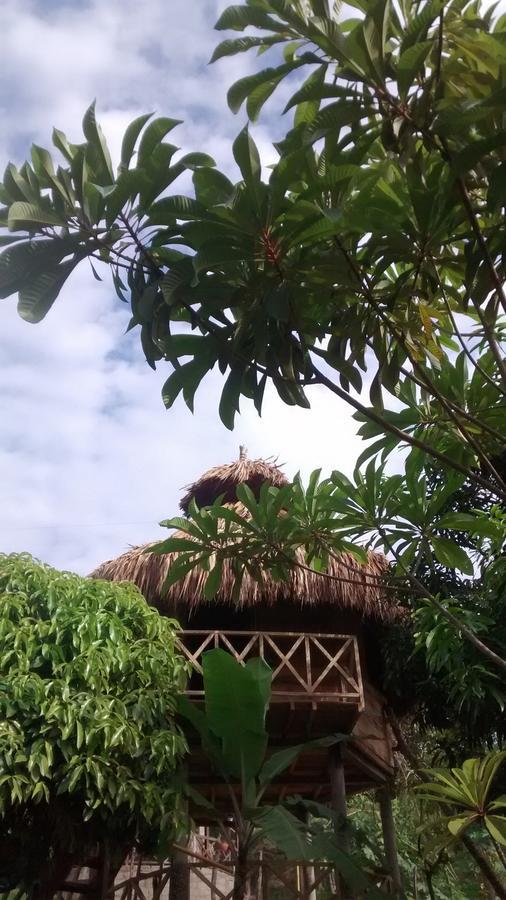 Posadas Ecoturisticas Seineken El Zaino Bagian luar foto